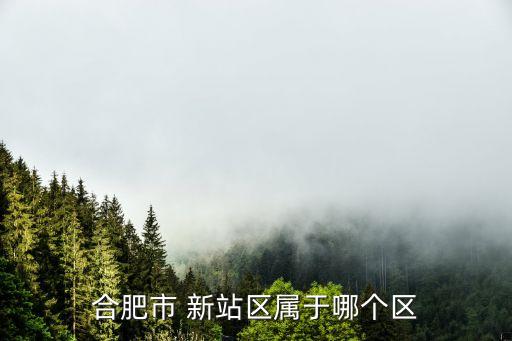 合肥市 新站區(qū)屬于哪個區(qū)