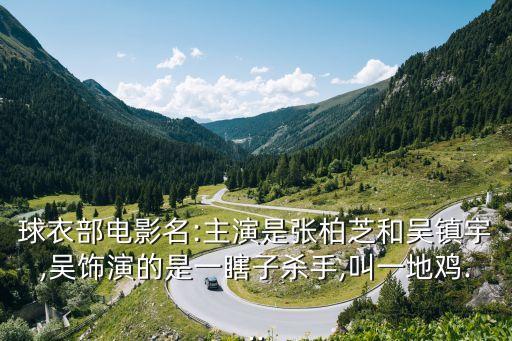 球衣部電影名:主演是張柏芝和吳鎮宇,吳飾演的是一瞎子殺手,叫一地雞...