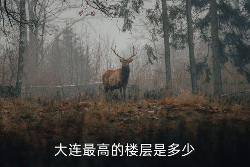 大連世貿(mào)大廈,大連世貿(mào)大廈里的公司名單出爐