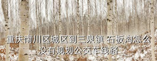 重慶南川區(qū)城區(qū)到三泉鎮(zhèn) 石板溝怎么沒有規(guī)劃公交車線路