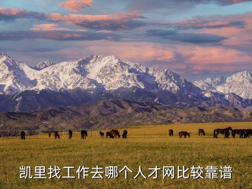 貴州人才網(wǎng),畢業(yè)求職首席人才網(wǎng)站