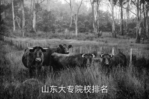 威海科技職業學院,山東省前十名專科大學名單出爐!