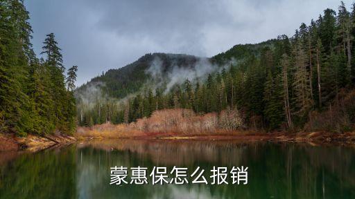 蒙惠保,蒙惠保怎么報銷?可通過惠蒙保微信公眾號購買