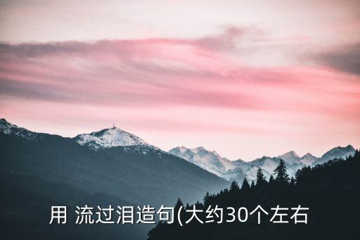用 流過淚造句(大約30個左右