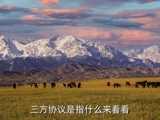 三方協議是哪三方,簽約三方協議有何用處?