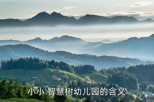 智慧樹幼兒園,智慧樹幼兒園收費(fèi)多少?需要75元管理費(fèi)