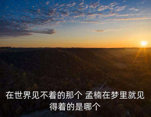 孟楠,孟楠參加《中國(guó)好聲音》走到了汪峰組四強(qiáng)