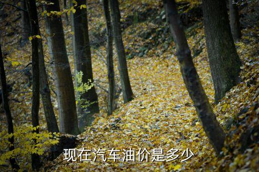 寧夏油價,寧夏中石化和中石油那個價格便宜?