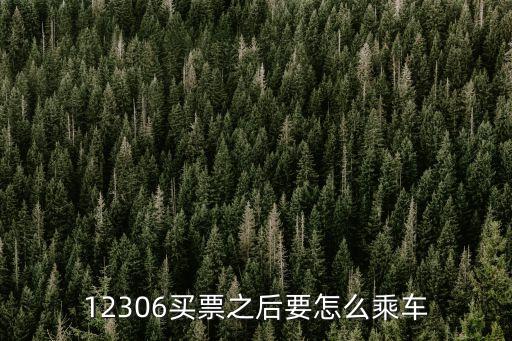 乘車網,網購車票可以直接進站嗎?可以這么做!