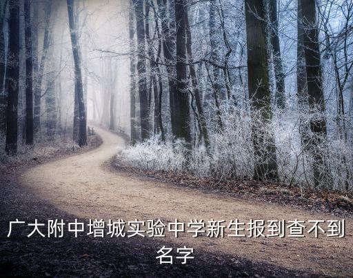 廣大附中實驗中學,廣州民辦初中排名出爐民辦最好初中從一至十排名
