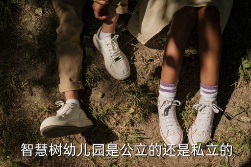  智慧樹幼兒園是公立的還是私立的