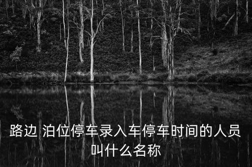 路邊 泊位停車錄入車停車時(shí)間的人員叫什么名稱