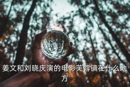 姜文和劉曉慶演的電影芙蓉鎮在什么地方