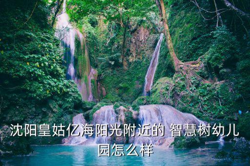 沈陽皇姑億海陽光附近的 智慧樹幼兒園怎么樣