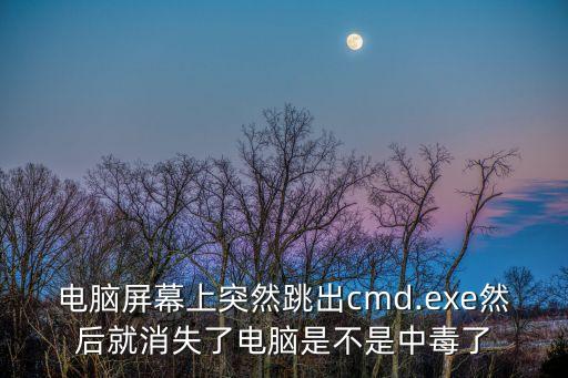 電腦屏幕上突然跳出cmd.exe然后就消失了電腦是不是中毒了