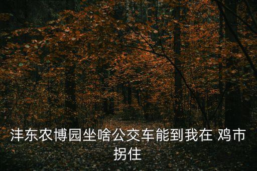 灃東農博園坐啥公交車能到我在 雞市拐住