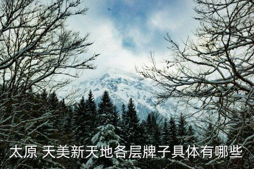 天美新天地,太原天美新天地和河美名店哪個好?