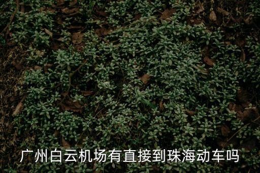 白云機場t3,廣州白云機場有大巴去深圳嗎?