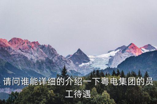 請問誰能詳細的介紹一下粵電集團的員工待遇
