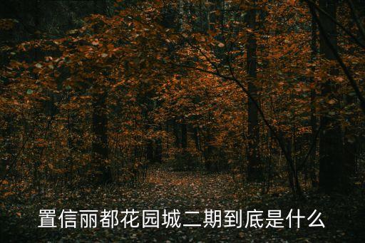置信麗都花園城二期到底是什么