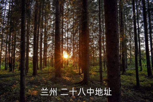 二十八中,晉級普通高中三級達標學校有何差別?