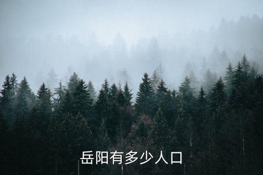 湖南省岳陽市,為什么湖南要重點發展岳陽市?