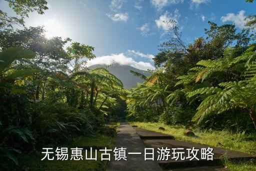 惠山古鎮(zhèn)要門票嗎,無錫惠山古鎮(zhèn)門票從哪里開?