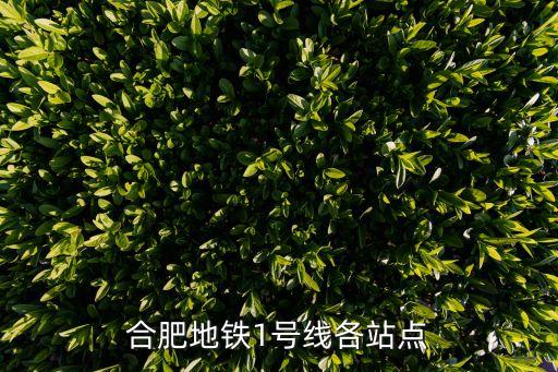 地鐵一號線,石家莊地鐵1號線二期工程開通試運營