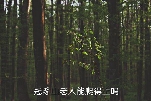  冠豸山老人能爬得上嗎