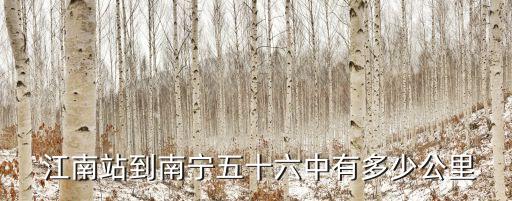  江南站到南寧五十六中有多少公里