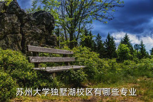 蘇州獨墅湖,蘇州有三甲醫(yī)院嗎?