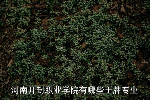 開封學院,開封有哪些大學、河南開封科技傳媒學院