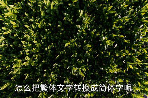 怎么把繁體文字轉換成簡體字呢
