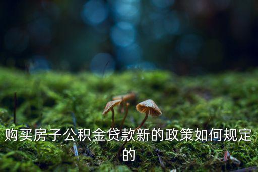 購買房子公積金貸款新的政策如何規(guī)定的