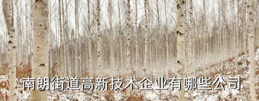 南朗,南朗有什么好玩?