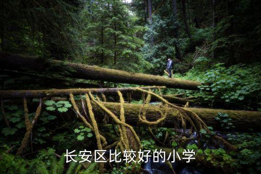 西安車輛廠,西安車輛廠小學(xué)入學(xué)條件:學(xué)習(xí)成績(jī)優(yōu)異