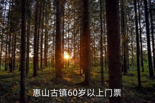 惠山古鎮60歲以上門票