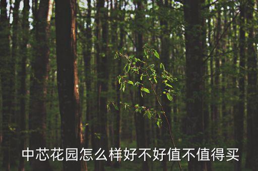 中芯花園,上海中芯花園怎么樣?弄199弄便宜?