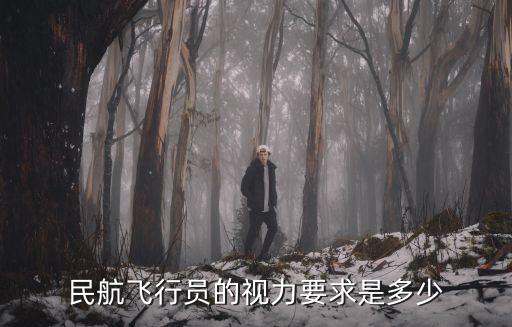 飛行員視力要求,飛行員的視力有要求嗎?