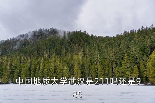  中國地質(zhì)大學(xué)武漢是211嗎還是985