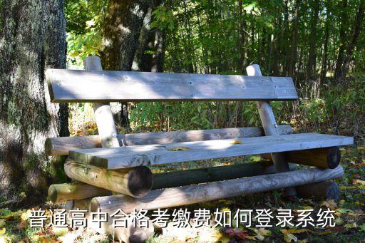 普通高中學業水平考試報名系統,高中學業水平考試報名系統打不開怎么報名?
