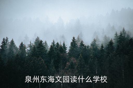 東海實驗小學,泗陽哪個小學好泗陽小學分布詳情介紹