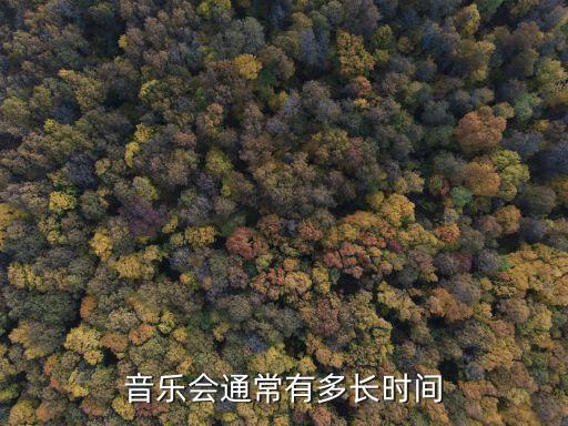小型音樂會,小型音樂會怎么辦?