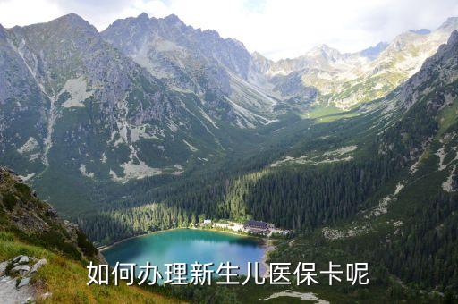 新生兒醫保怎么辦理,新生兒醫保怎么辦?