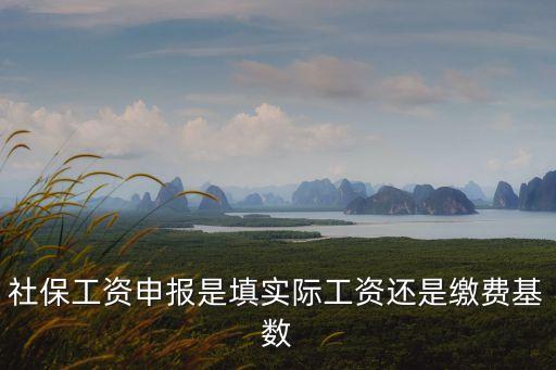 社保基數申報,社會保險繳費基數申報表怎么填?