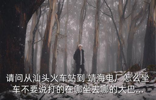 請問從汕頭火車站到 靖海電廠怎么坐車不要說打的在哪坐去哪的大巴...
