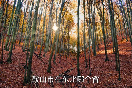 鞍山在哪個(gè)省,鞍山市在東北哪個(gè)省屬于遼寧省?