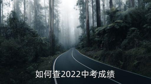 中考成績查詢網站,中考成績怎么查?可以在學信網查詢