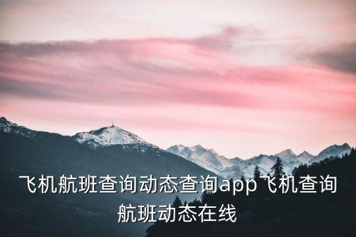 飛機航班查詢動態(tài)查詢app飛機查詢航班動態(tài)在線