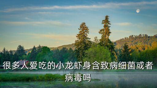 龍蝦門(mén),澳洲大龍蝦和波斯頓龍蝦之別
